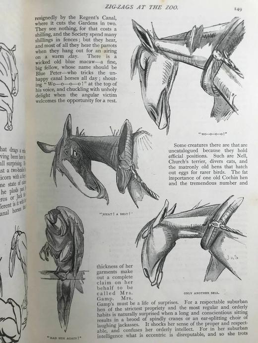 1894年 河滨杂志 数百幅插图 真皮精装18开 商品图11