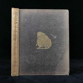 1883年 英国讽刺漫画杂志《笨拙》 数百幅插图 漆布精装16开