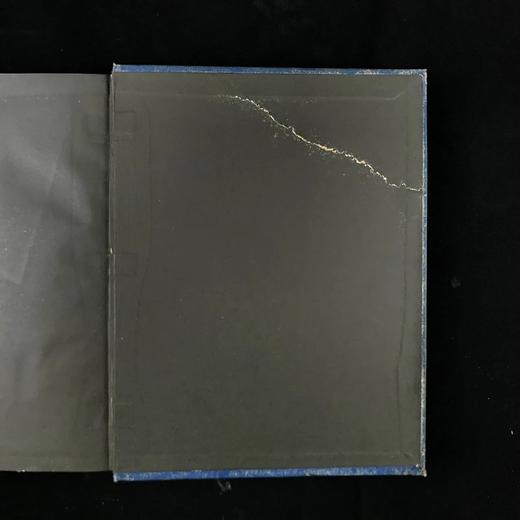 1886年 查尔斯·金斯利《水孩子》 100幅插图 漆布精装大32开 商品图2