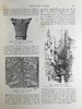 1897年 艺术杂志 数百幅插图 漆布精装大16开 商品缩略图14