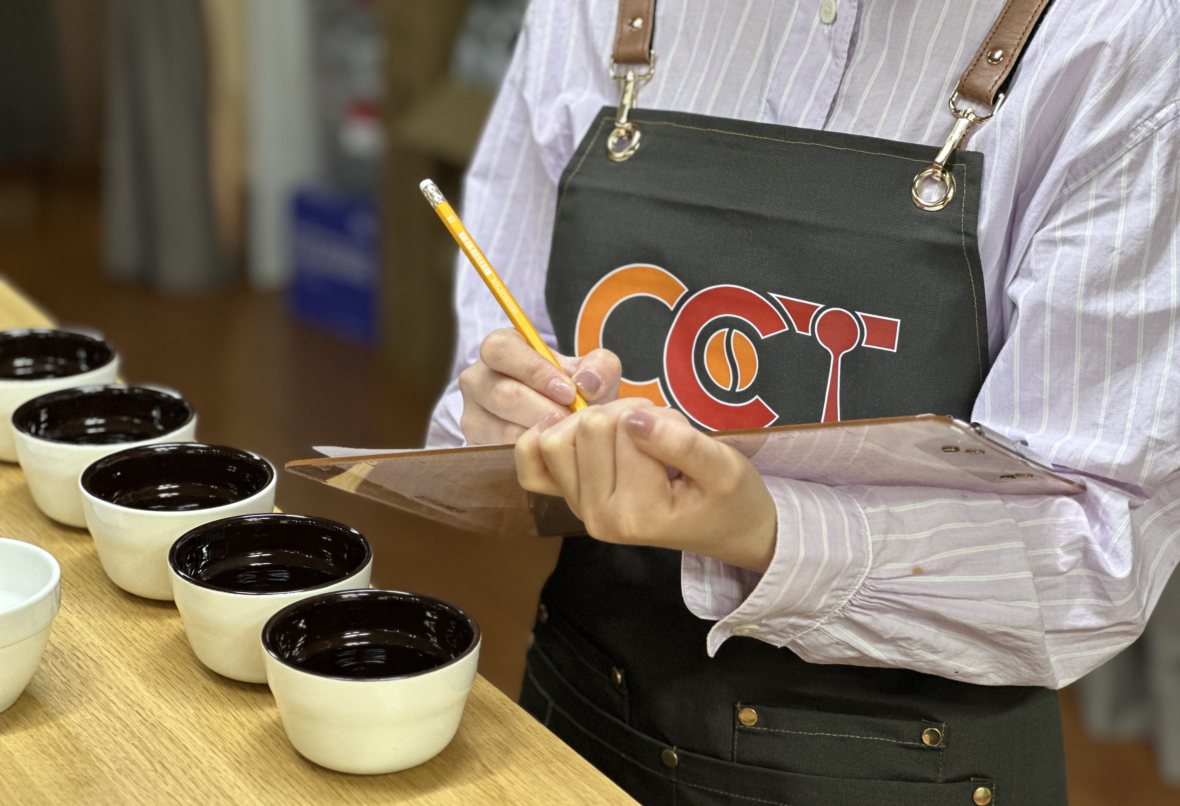 CCT咖啡品鉴师项目直播课-第三期
