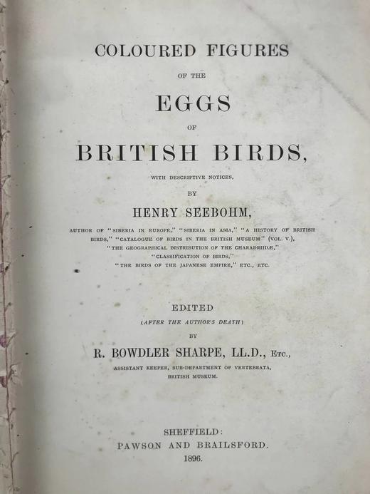 含藏书票！1896年 英国鸟卵图集 59页彩色插图 漆布精装16开 商品图4