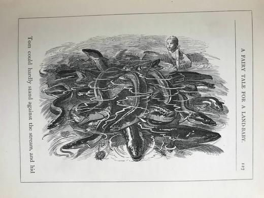 1886年 查尔斯·金斯利《水孩子》 100幅插图 漆布精装大32开 商品图13