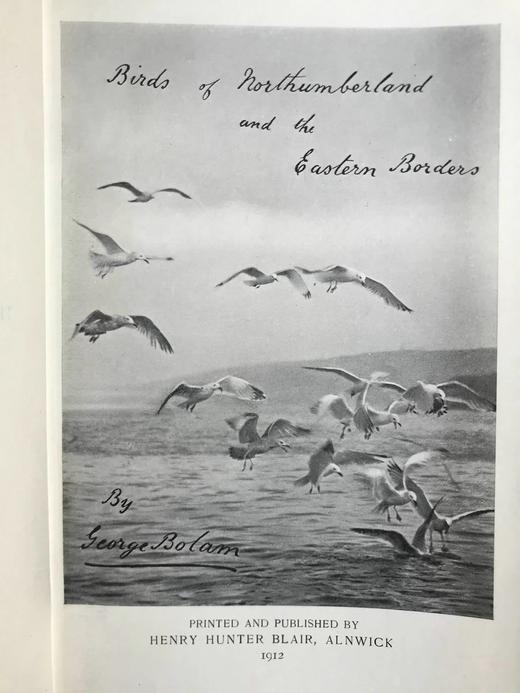 1912年 诺森伯兰和东部边界鸟类图集 27幅插图 漆布精装大32开 商品图2