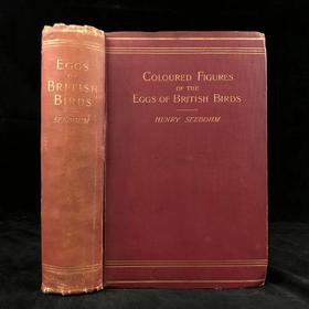 含藏书票！1896年 英国鸟卵图集 59页彩色插图 漆布精装16开