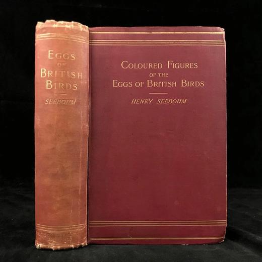 含藏书票！1896年 英国鸟卵图集 59页彩色插图 漆布精装16开 商品图0