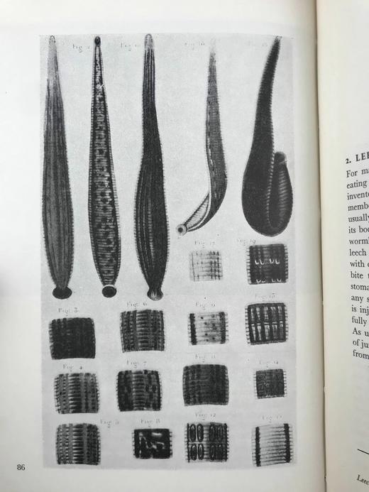 古代治疗艺术图集 数十幅插图 精装16开 商品图10