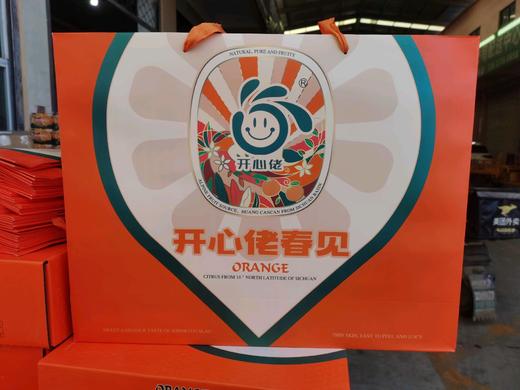 开心佬耙耙柑春见礼盒一件 商品图0