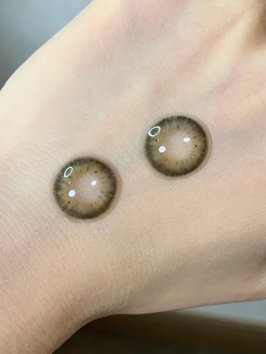 Chonos品牌日抛-Lead Gray 豆绿灰（10片/盒） 商品图10