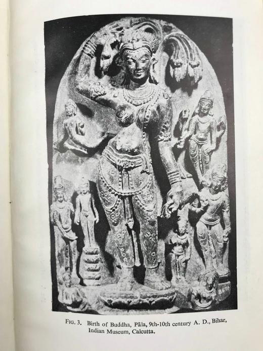 薄伽婆陀图像学研究 19幅插图 布面精装32开 商品图8