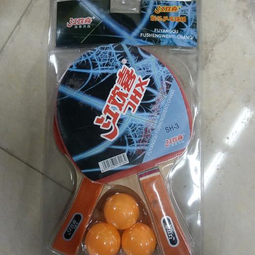 江欢喜兵乓球排SH-3 商品图0