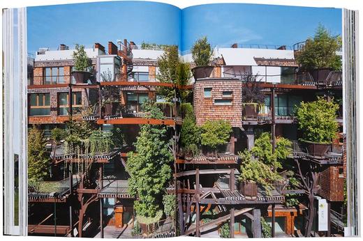 Evergreen Architecture Overgrown Buildings and Greener Living，常绿建筑：杂草丛生的建筑和绿色生活，建筑 商品图6
