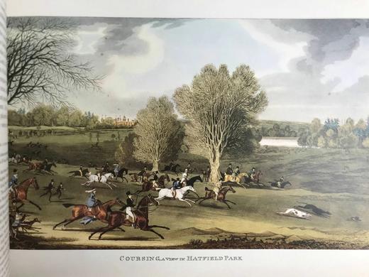 39.5*27cm！运动盛典：写作与画作选集 16幅彩色144幅黑白插图 精装8开 商品图13