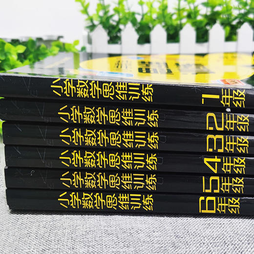 数学思维训练一年级二年级三年级上册四五六下册数学计算题专项练习书小学奥数举一反三逻辑思维拓展题应用题强化闯关训练练习书 商品图1