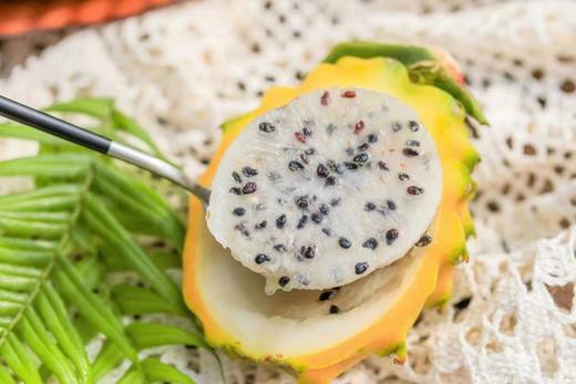 红夫人商城 海南空运 燕窝果 水果届的爱马仕 8个/约3.5斤装 商品图4