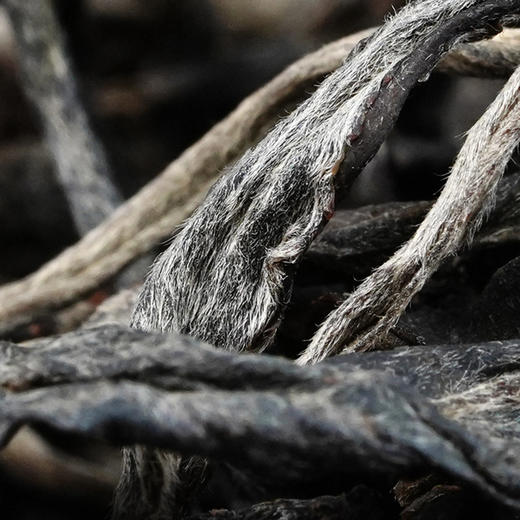 【限时回馈】【2022年昔归散茶】仅会员可够疯狂补贴拉流一斤装散茶超实惠超大份 商品图2