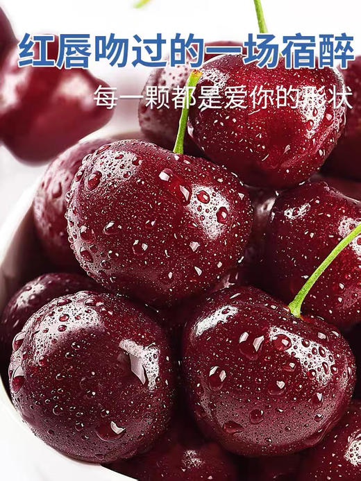 樱桃车厘子单j/2JDD/3J D D五斤原包装礼盒装 商品图10