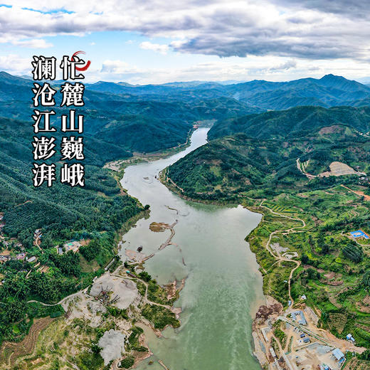 【限时回馈】【2022年昔归散茶】仅会员可够疯狂补贴拉流一斤装散茶超实惠超大份 商品图5