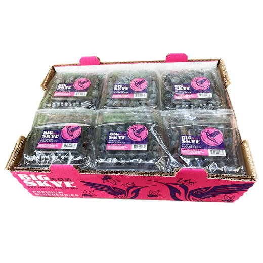 进口蓝莓件装12盒 商品图0