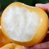 青青大地秋月梨（礼盒） 商品缩略图4