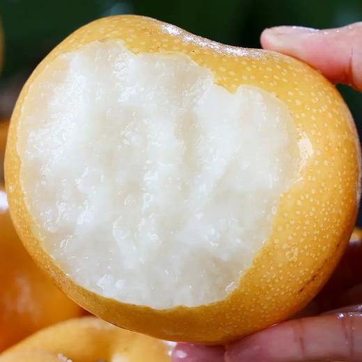 青青大地秋月梨（礼盒） 商品图4