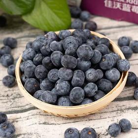 【怡颗莓蓝莓】顺丰包邮 颗粒饱满 酸甜可口 营养丰富 多规格任选
