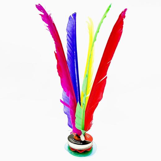 大毽子太仓新健彩色鹅毛大花毽健身毽球 1个 比赛专用牛筋底成人XJ2008/大号308 商品图10