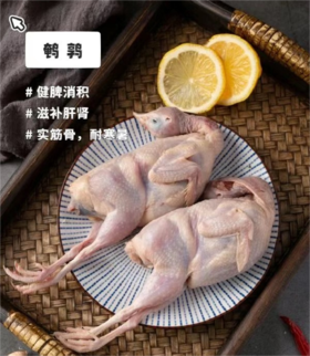鹌鹑 约2-3两/只