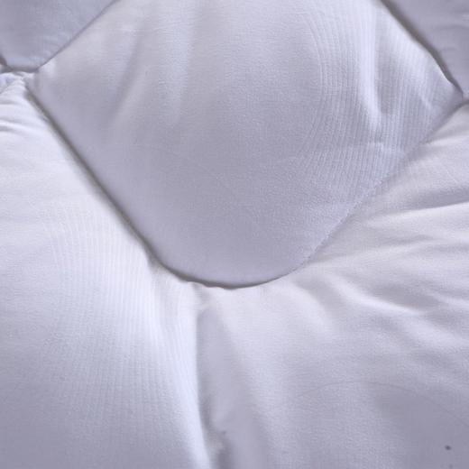 杜桑 抗菌四季被【YGYL3.0】 商品图2