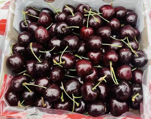 樱桃车厘子单j/2JDD/3J D D五斤原包装礼盒装 商品图7