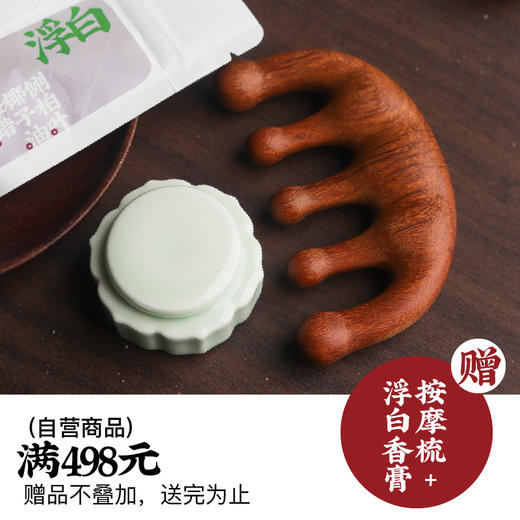 年货节满498赠品【自营】 商品图0