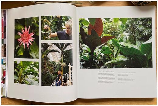 Sarah Graham，莎拉·格雷厄姆，绘画 商品图4