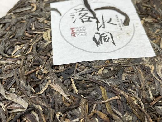 22春 易武落水洞 古树纯料 357克 生茶 （产地定制，古茶档案） 商品图5