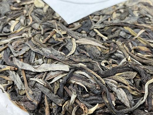 22春 易武落水洞 古树纯料 357克 生茶 （产地定制，古茶档案） 商品图4