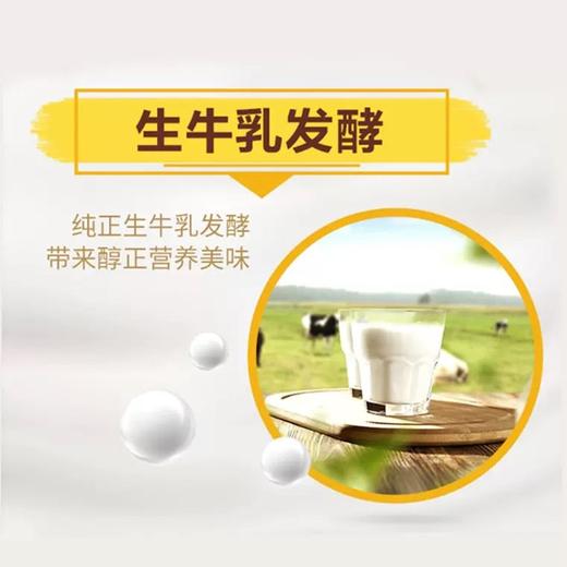 君乐宝嚼吧燕麦粒风味酸牛奶150g*5袋(赠150g) 商品图5