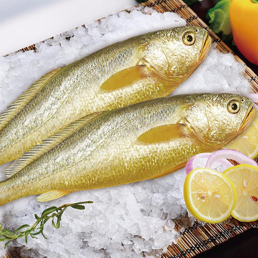 国联珍渔坊享家组合海鲜大礼包2.4kg 商品图4