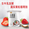 君乐宝多果丽草莓果粒联杯酸奶720g 商品缩略图2