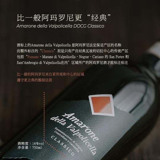 【连续12年获奖】阿玛罗尼经典干红葡萄酒 意大利原瓶进口 16%vol 商品图2