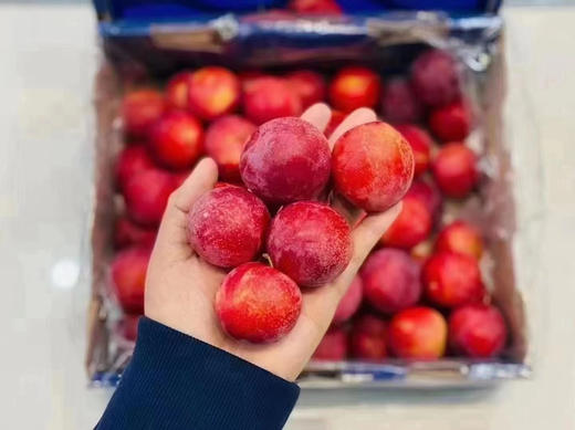 ✈️进口5J樱桃李（加大车厘子）二合一 2.5kg 商品图3