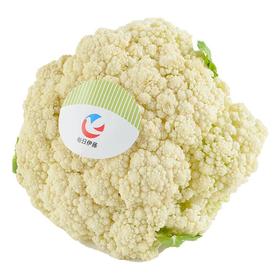 每日伊藤松花菜 约400g/份