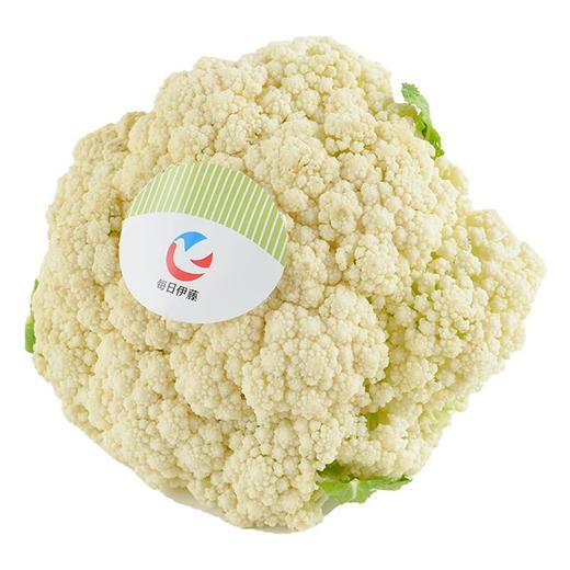 每日伊藤松花菜 约400g/份 商品图0