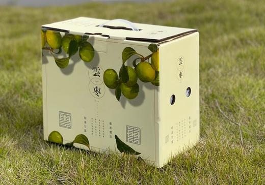 云南西双版纳·苹果枣4斤装 商品图0