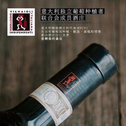 【连续12年获奖】阿玛罗尼经典干红葡萄酒 意大利原瓶进口 16%vol 商品图1