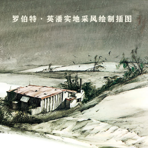 《风暴男孩》 商品图3