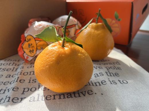 春见耙耙柑 精选8斤礼盒装 商品图1