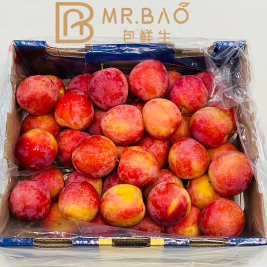 智利🇨🇱6J樱桃李（5斤装） 商品图1