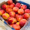 智利🇨🇱6J樱桃李（5斤装） 商品缩略图2