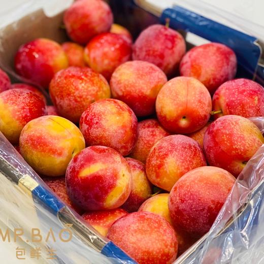 智利🇨🇱6J樱桃李（5斤装） 商品图2