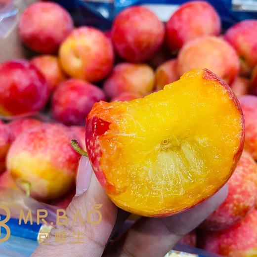 智利🇨🇱6J樱桃李（5斤装） 商品图5