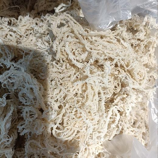 石花菜 商品图0